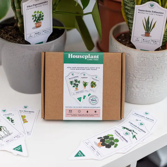 Houseplant Care Tags