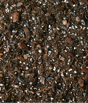 Premium Monstera/Philodendron Houseplant Soil Blend