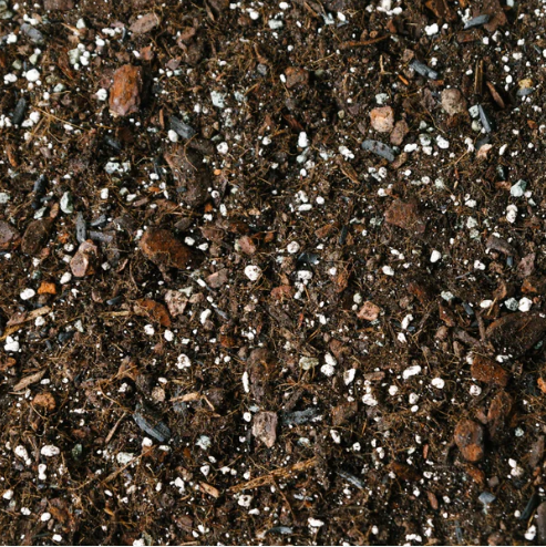 Premium Monstera/Philodendron Houseplant Soil Blend