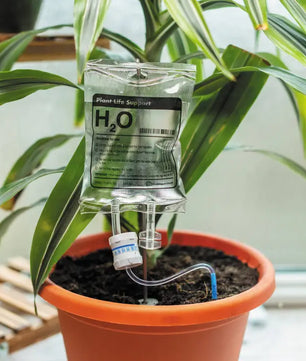 Houseplant Life Support