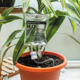 Houseplant Life Support
