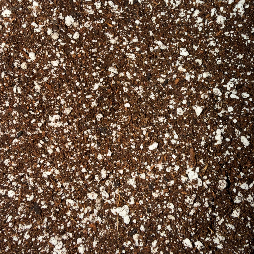 Everyday Houseplant Soil Mix Potting Soil