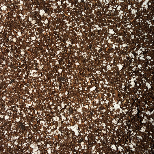 Everyday Houseplant Soil Mix Potting Soil