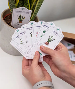 Houseplant Care Tags