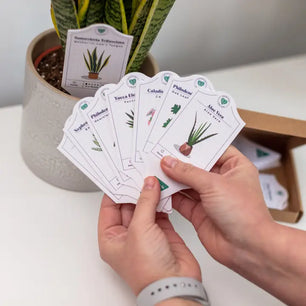 Houseplant Care Tags