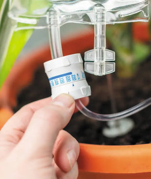 Houseplant Life Support