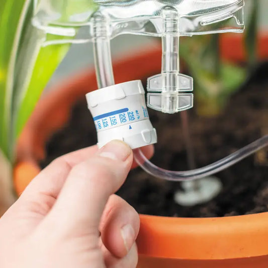 Houseplant Life Support